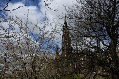 DSC_7287 (Large).JPG